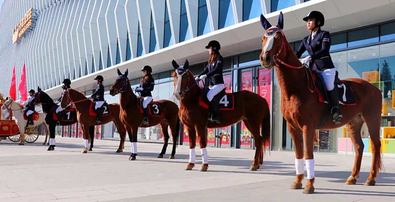临沂马术运动协会女子骑术队助力第七届中国横渡沂河大赛升温
