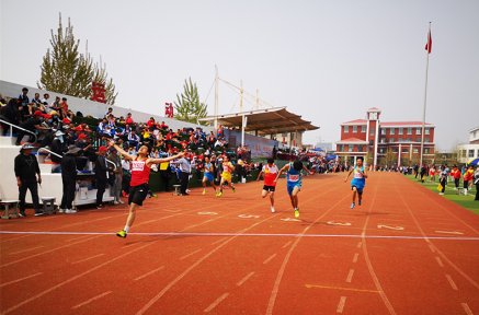罗庄区第二十七届中小学生体育节举行
